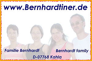 Link www.Bernhardtiner.de